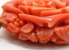 赤珊瑚買取港北区