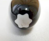 マイスターシュテック買取港北区